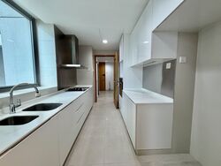 Park Infinia At Wee Nam (D11), Condominium #588932081